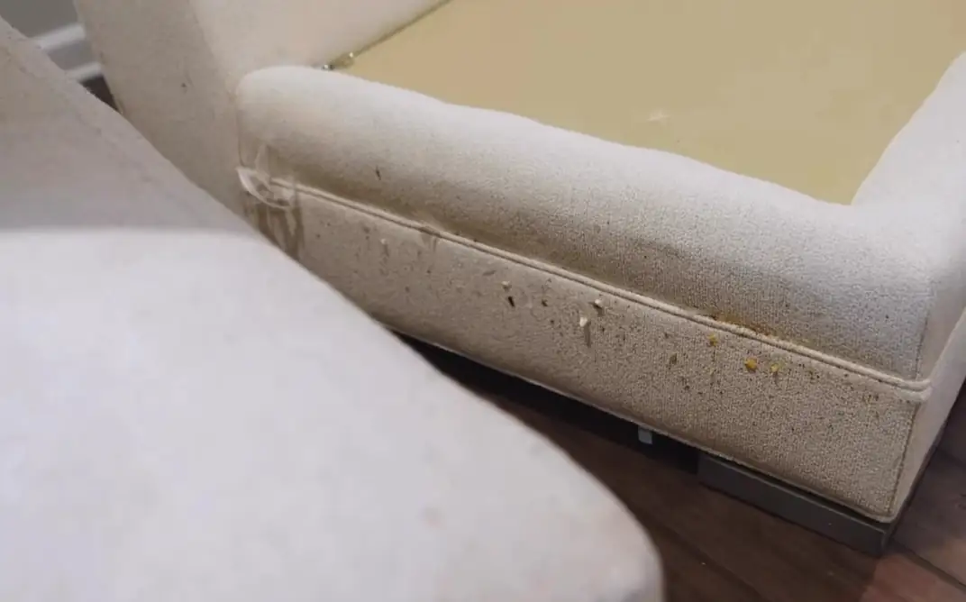 Dirty cream sofa base, then the same base after the extraction pass
